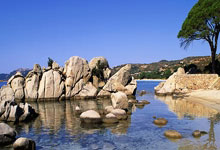 天涯重庆论坛情感